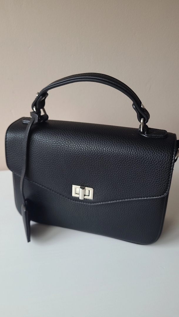 Tas Dina