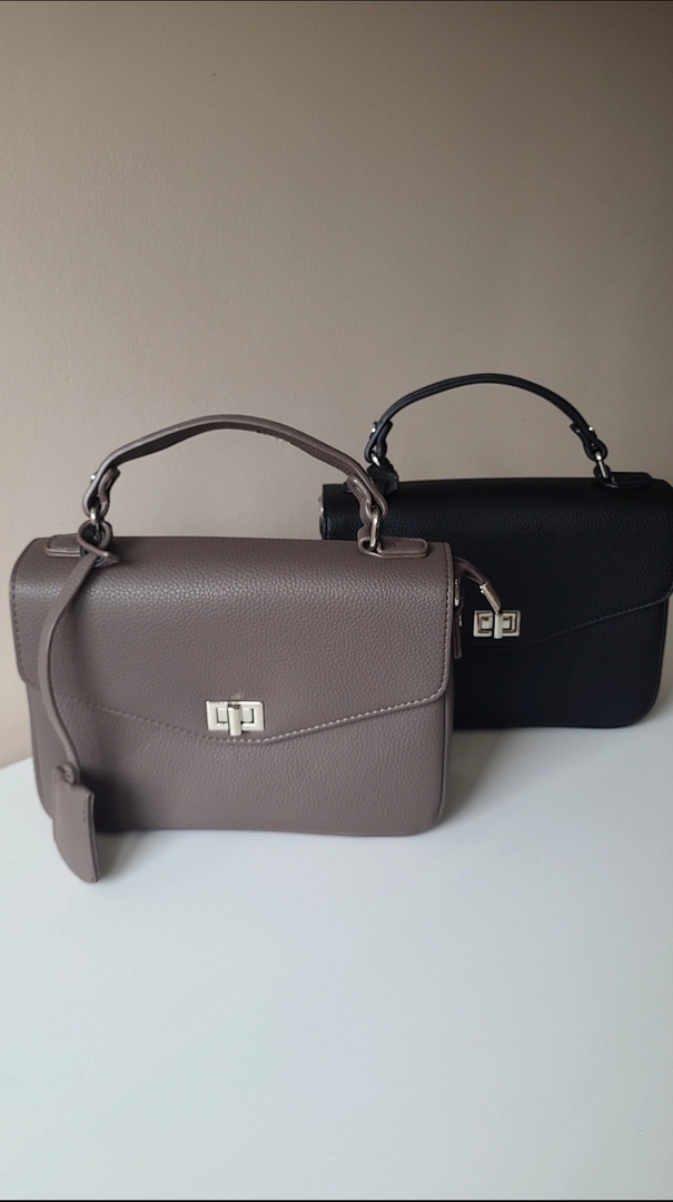 Tas Dina