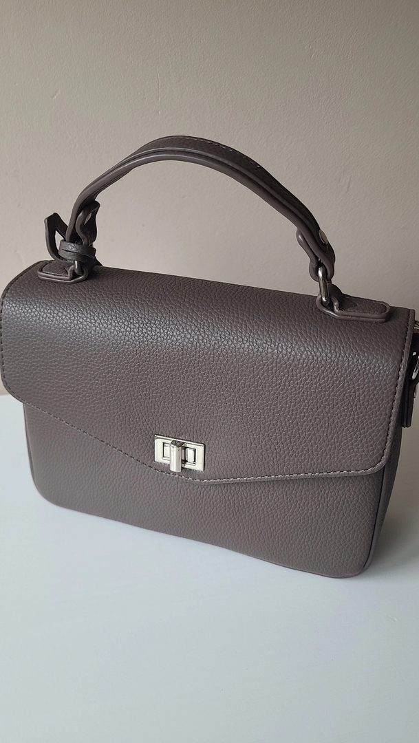 Tas Dina